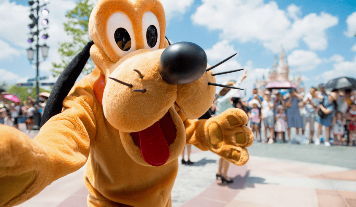 디즈니_플러스_가격_11