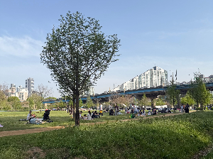 아이와 한강 갈 때 꼭 챙겨야 할 것 10가지