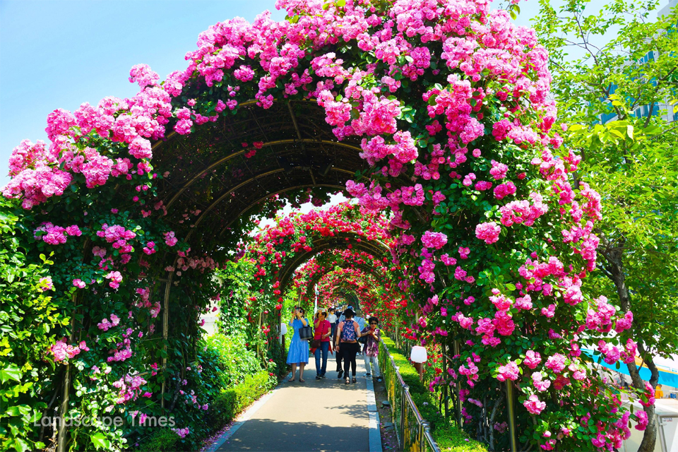 2023 서울 장미축제 가수 주차장 일정 총정리