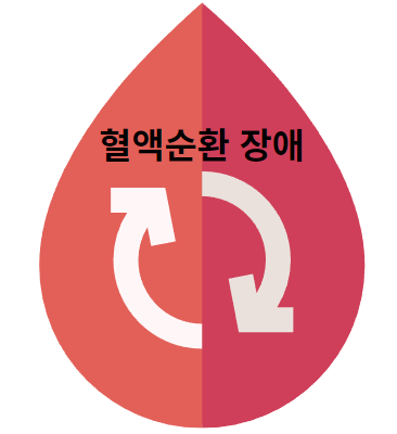 혈관성 비염