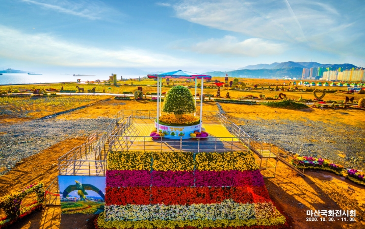마산 국화축제