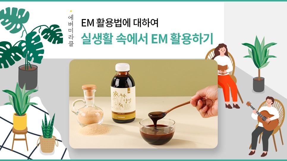 발효 효소