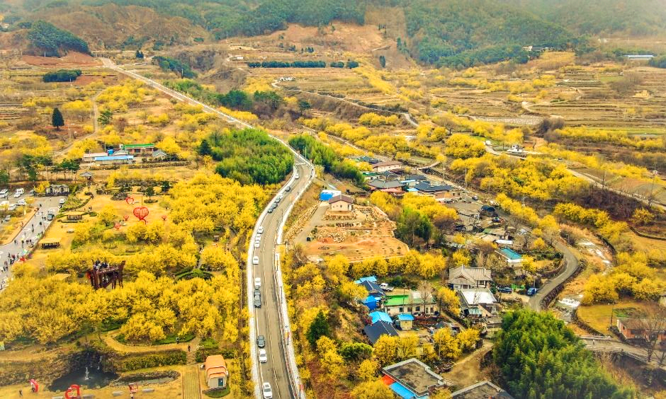 구례산수유축제