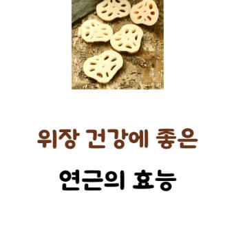 위장건강으로 장수의 삶