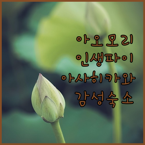 일본 아오모리 야경 애플파이 맛집 투..