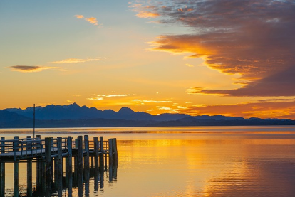청와대 관람 예약,신청방법