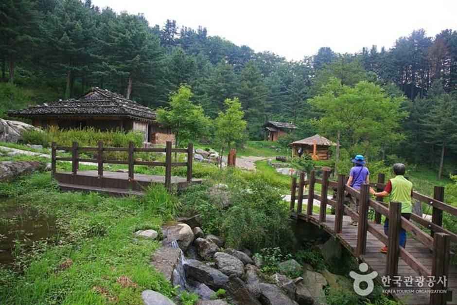 가평 잣향기푸른숲
