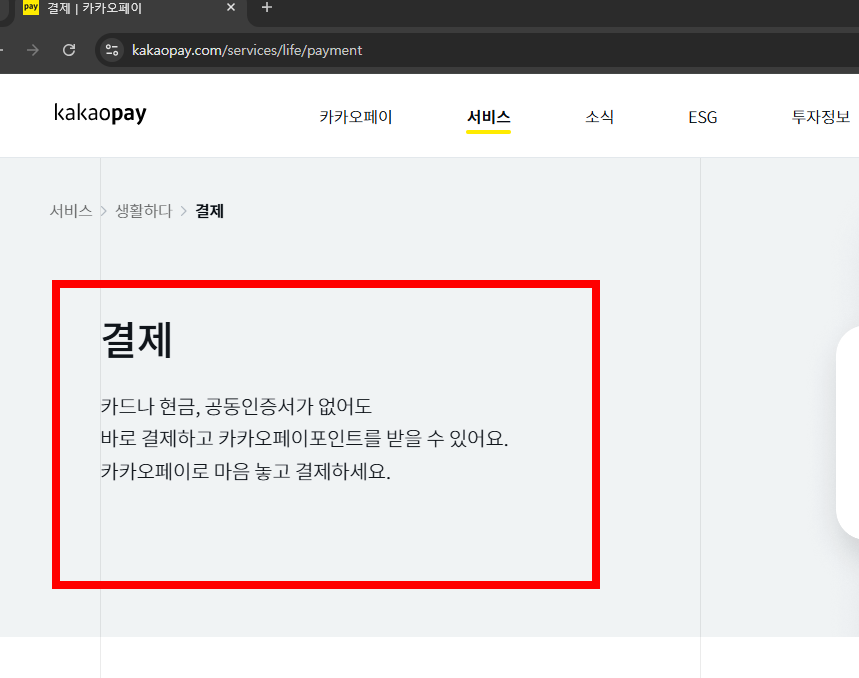 카카오페이 사용법 한방 정리