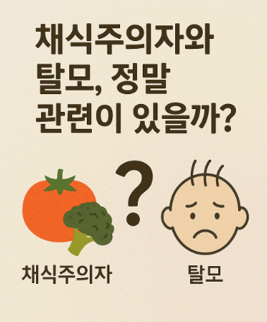 채식주의자와 탈모의 상관관계