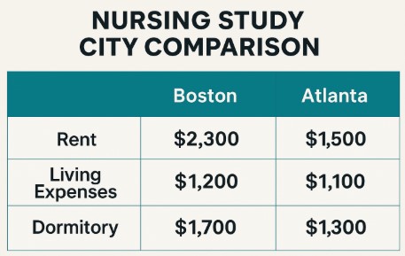 미국 간호유학 도시비교 사진