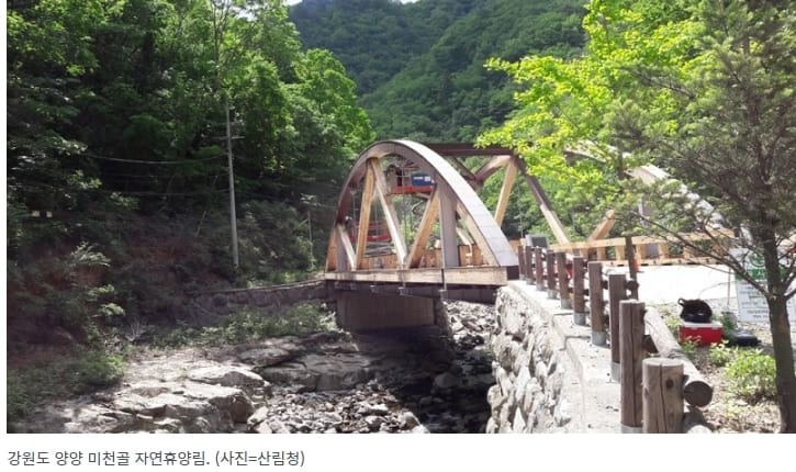 문체부가 분석한 국내 최애 관광지들은 어디?