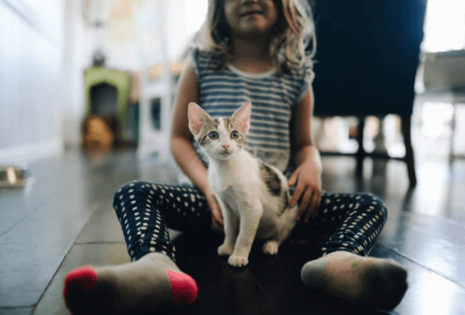 펫 아로마 테라피 모든것! 반려동물과 함께라면 꼭 참고하세요