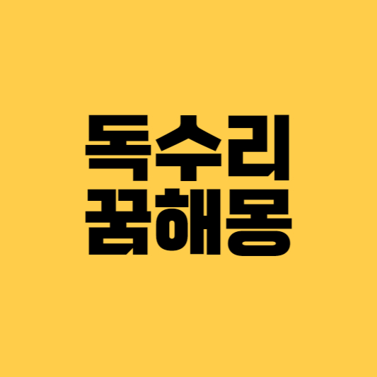 독수리 꿈해몽
