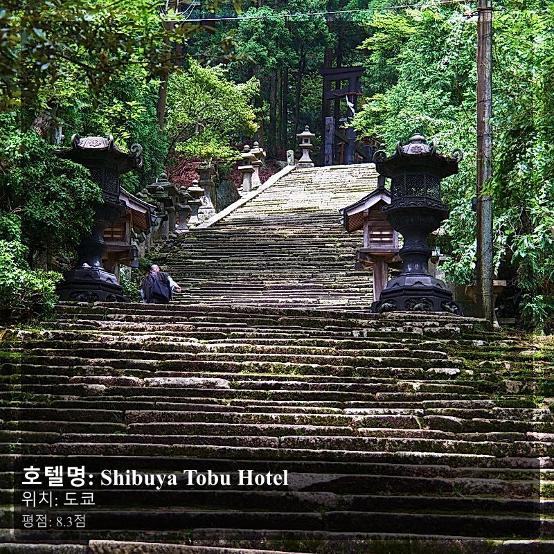 Shibuya Tobu Hotel_5