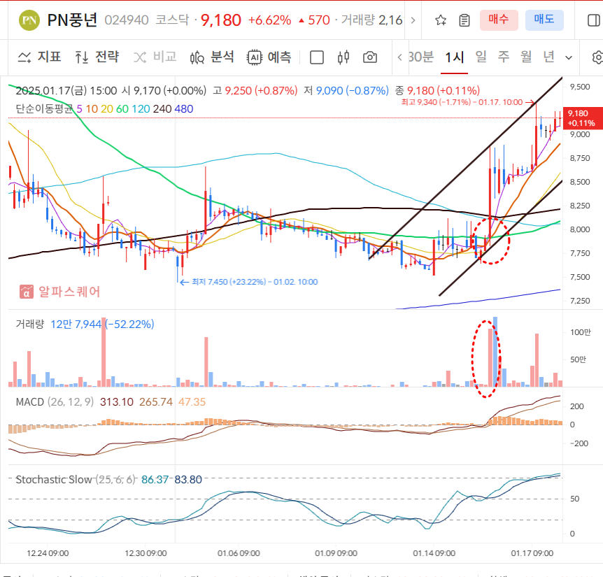 PN풍년 60분봉차트