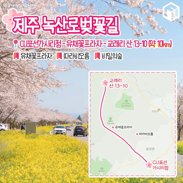 벚꽂 보러 갈래? 드라이브 코스 9(Do you want to go see cherry blossoms? South Korea's Beautiful Drive Course 9)