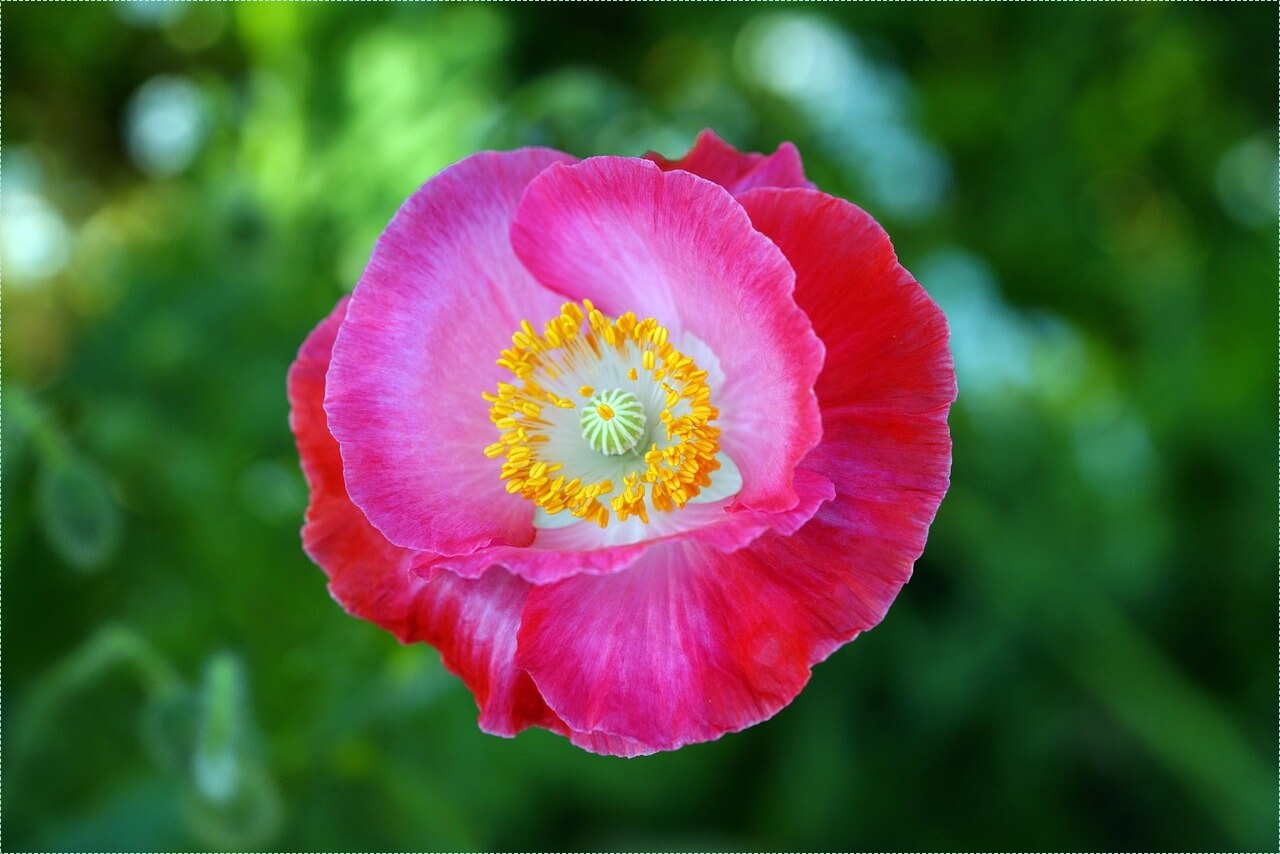 은행 적금 이자 높은곳