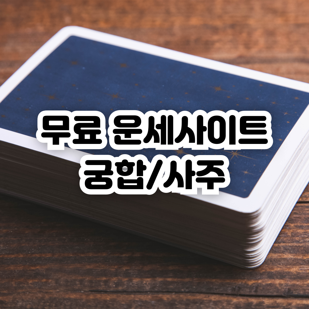 무료 사주 사이트