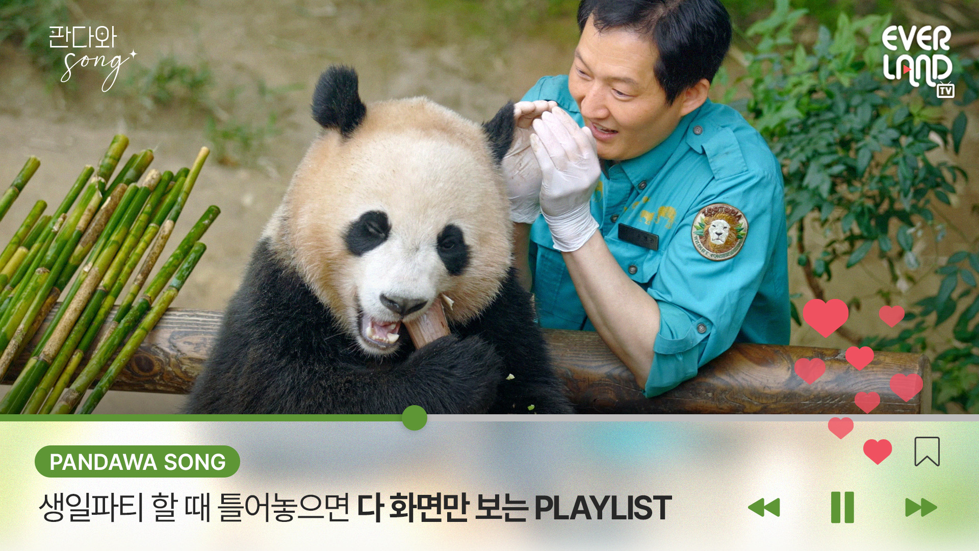 [𝟰𝗞] 생일파티 할 때 틀어놓으면 다 화면만 보는 𝗣𝗟𝗔𝗬𝗟𝗜𝗦𝗧｜#판다와SONG #12