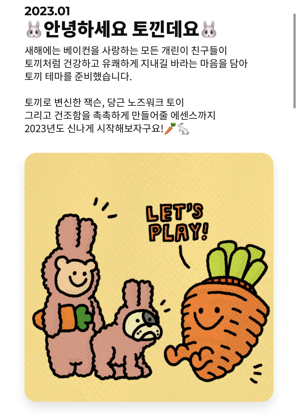 구독 상품 컨셉