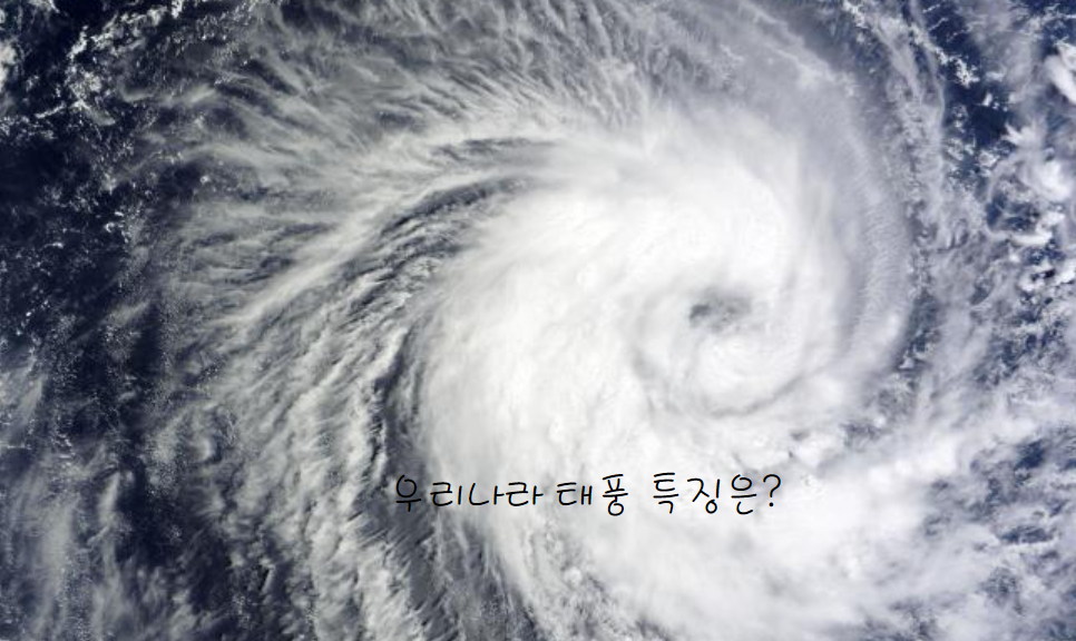 우리나라 태풍 특징