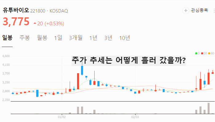 미용기기 기구 관련주 대장주 테마주 TOP5