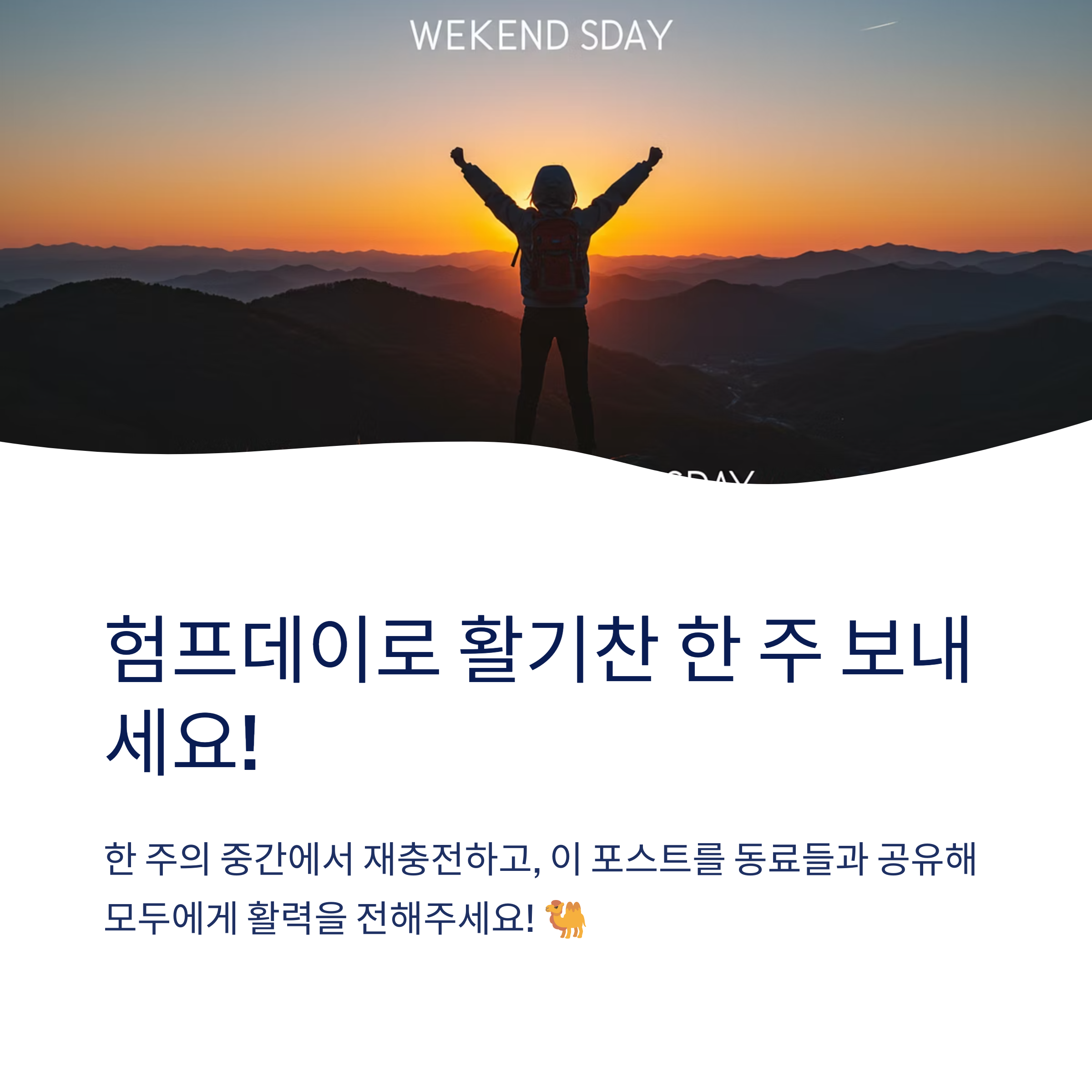 험프데이를 더 즐겁게 보내는 팁이 있다면?