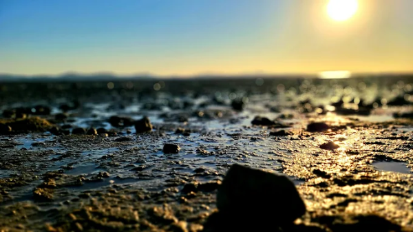 동막해수욕장 갯벌체험