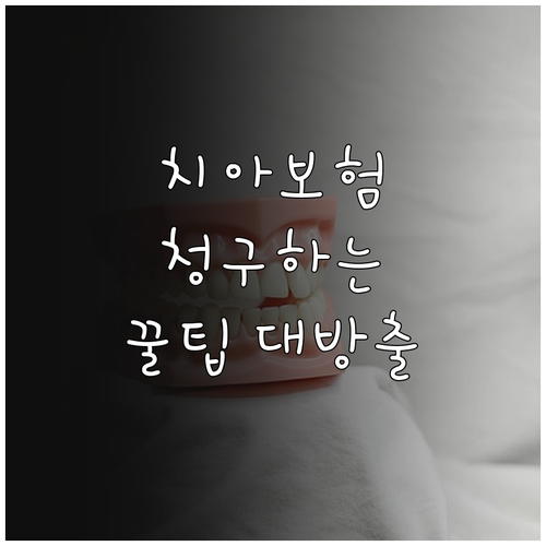 치아보험, 제대로 청구하는 법: 필수