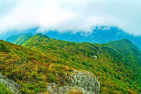 응봉산 등산지도