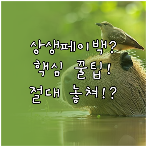 소비를 통한 상생의 가치, 상생페이백..