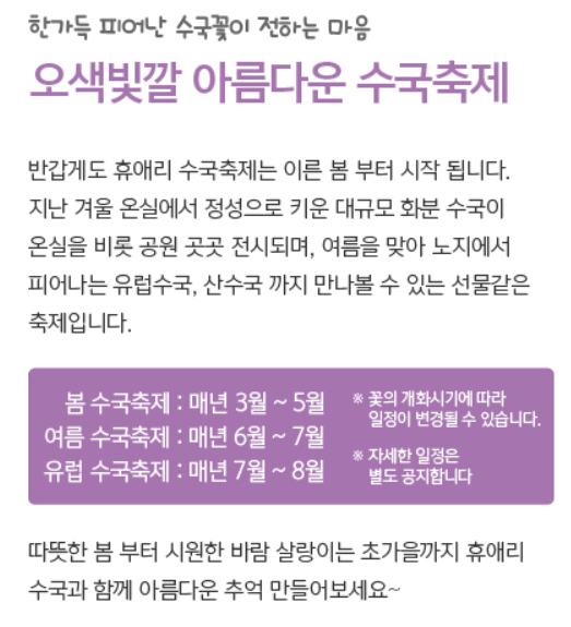 휴애리 수국축제