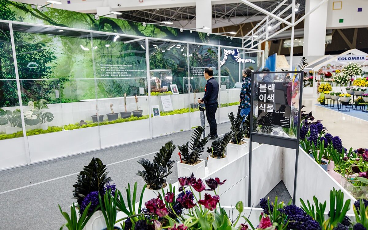 2025 고양 국제 꽃 박람회 예약 방법