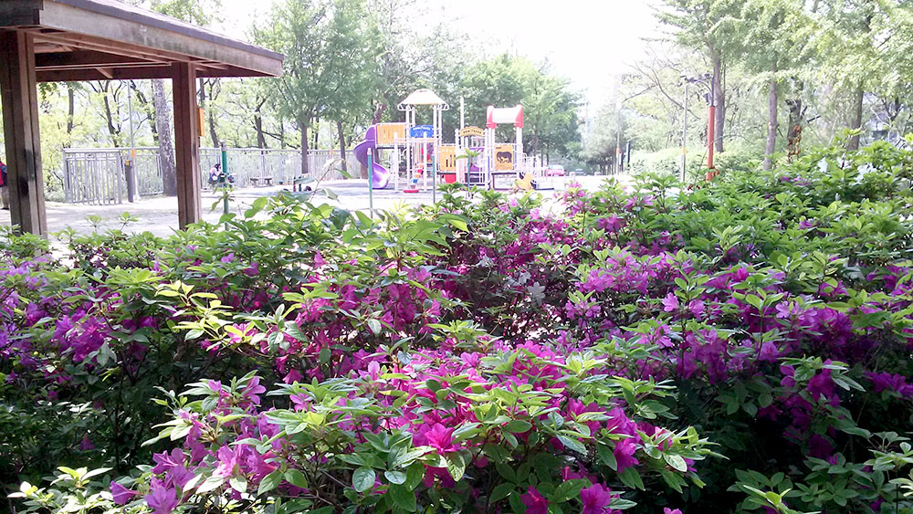 고은산(Goeunsan Mountain) 놀이터