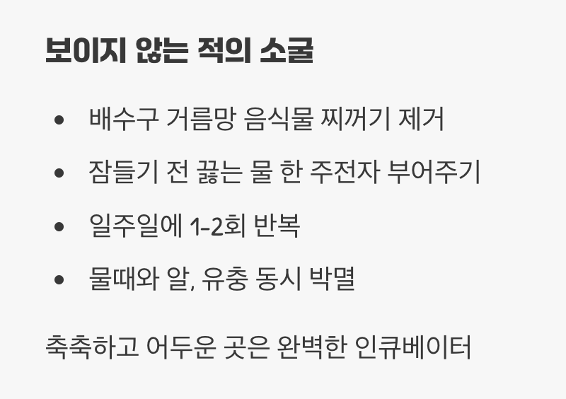 3. 보이지 않는 적의 소굴, '싱크대 배수구'