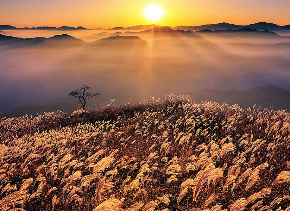 강원도 단풍 명소 5. 정선 민둥산과 화암동굴