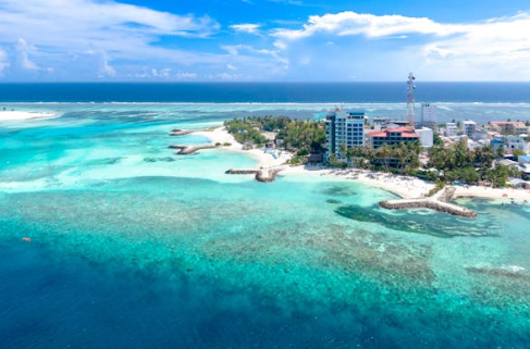 5월 해외여행 뎅기열