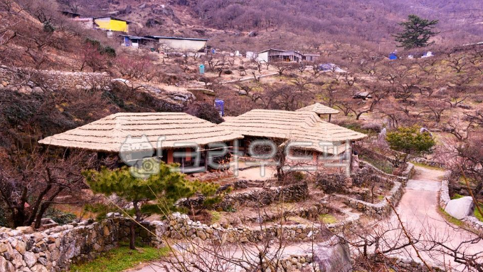 섬진강이 품은 봄의 향기, 광양 매화마을 완벽 여행 가이드