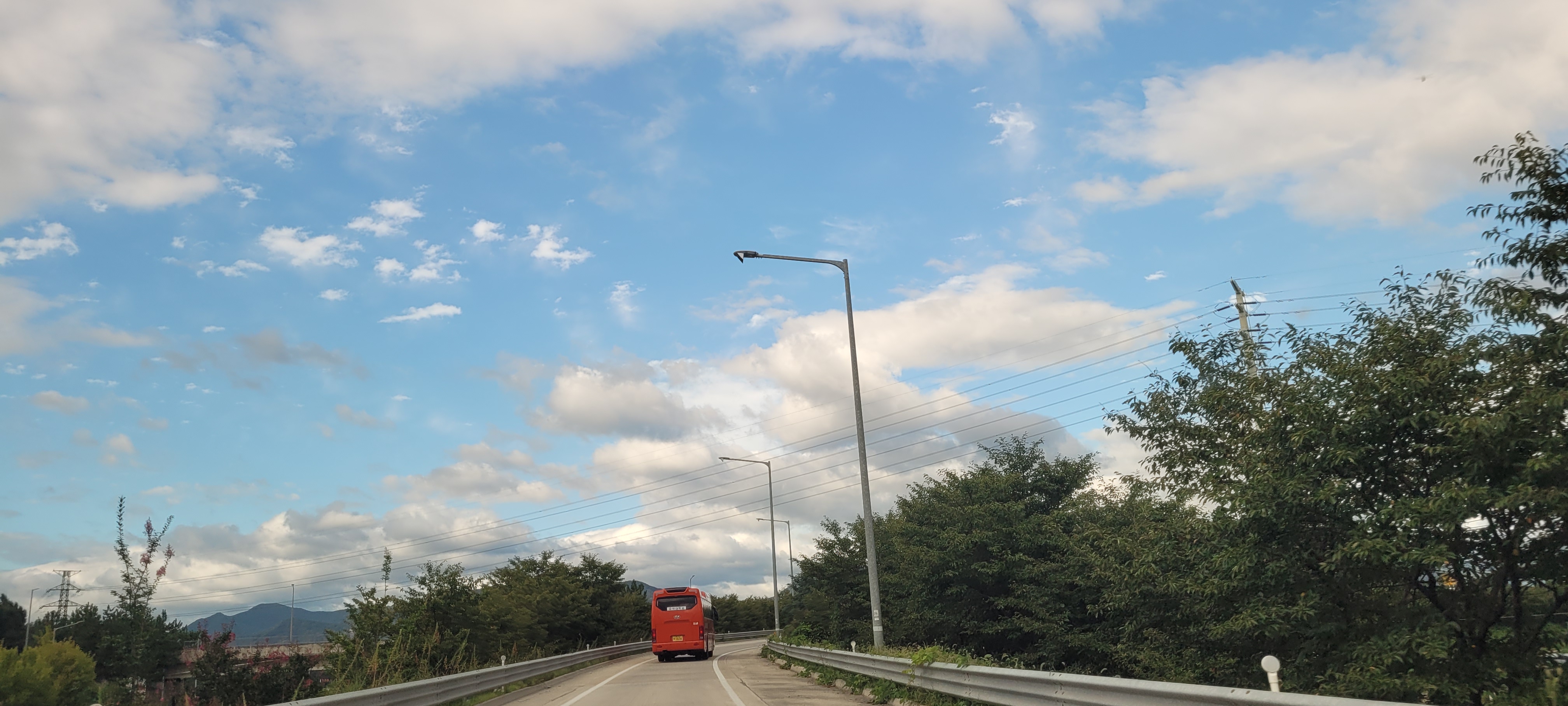 민생회복 소비쿠폰 1차 지급 후 카드혜택 vs지역화폐 ! 뭐가 더 좋았을까?