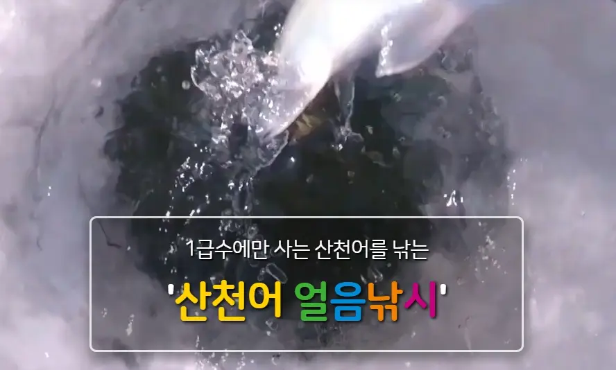 화천 산천어축제 예약방법, 일정, 주차장, 숙박 정보