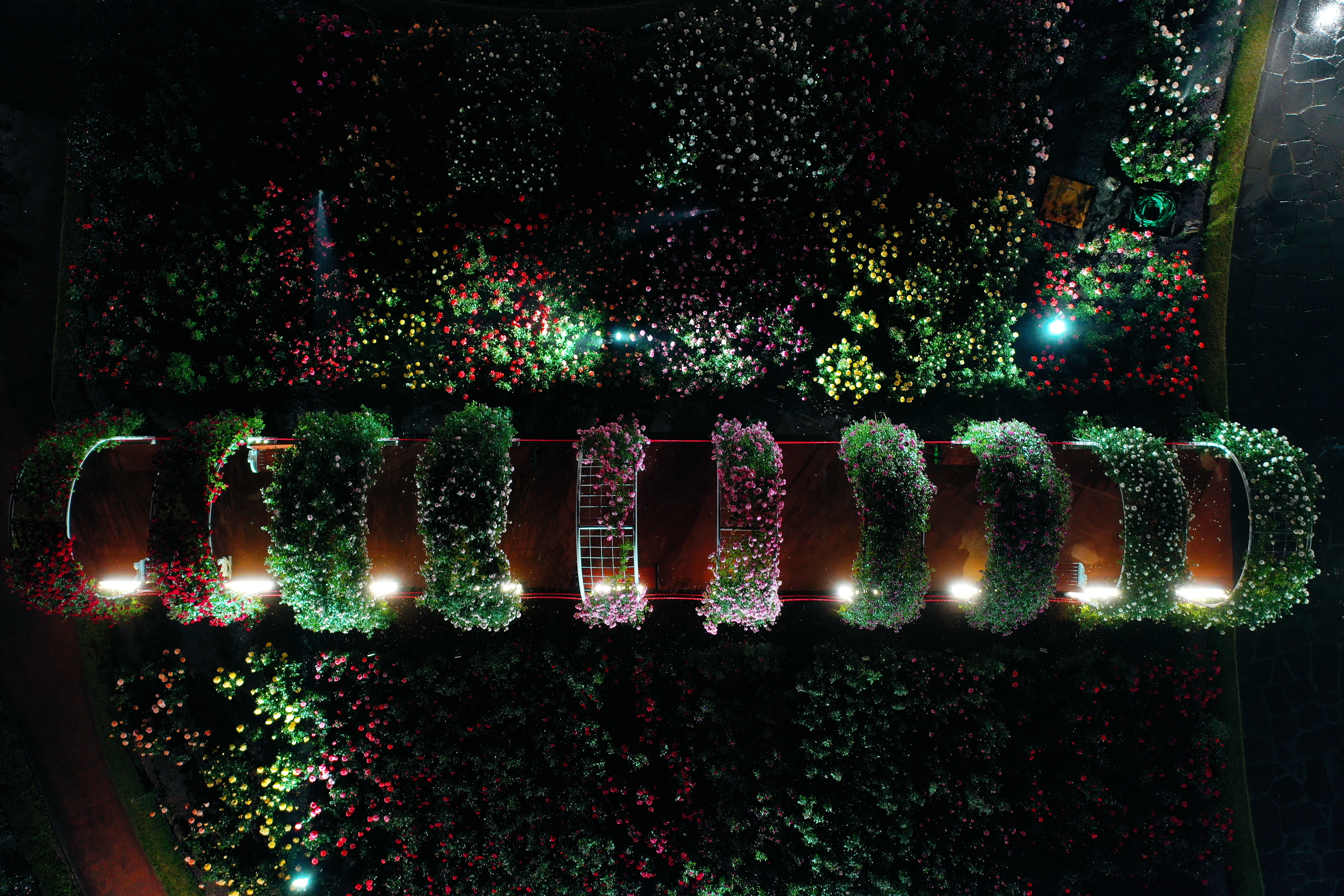 2025 곡성세계장미축제 일정·입장료 구매방법·주차 총정리