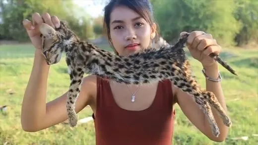 멸종 위기 동물 증가 원인과 환경 문제 분석_2