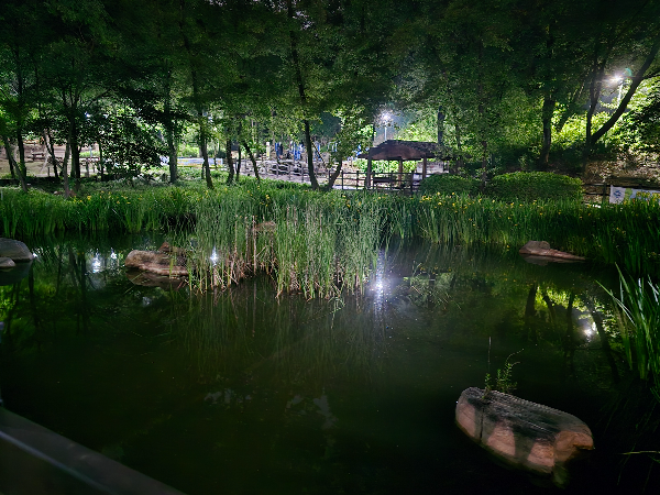 안양석수체육공원 사진