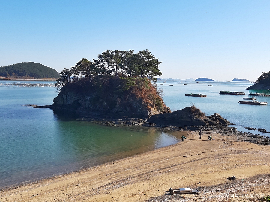 경남고성솔섬