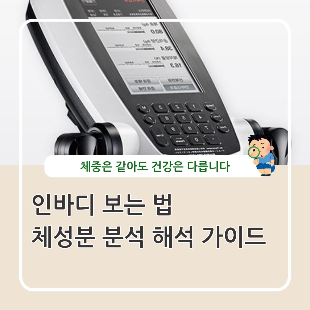 인바디 보는 법 체성분 분석 정리
