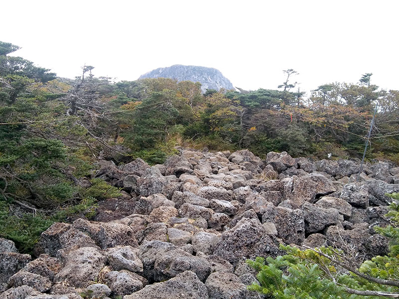 한라산 영실코스