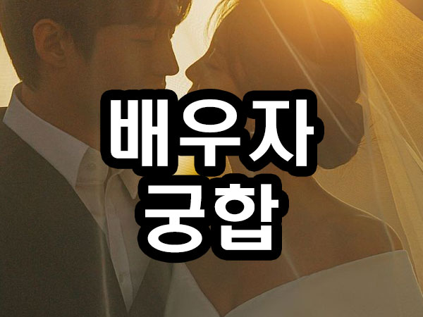 배우자 궁합 썸네일