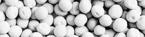 완두콩 보관법: 장기 보관