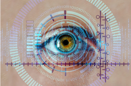 생체 데이터 경제: 몸이 통화가 되는 시대