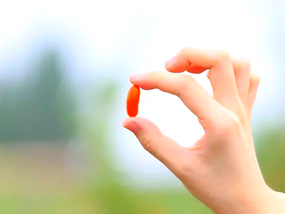 면역력에 좋은 구기자